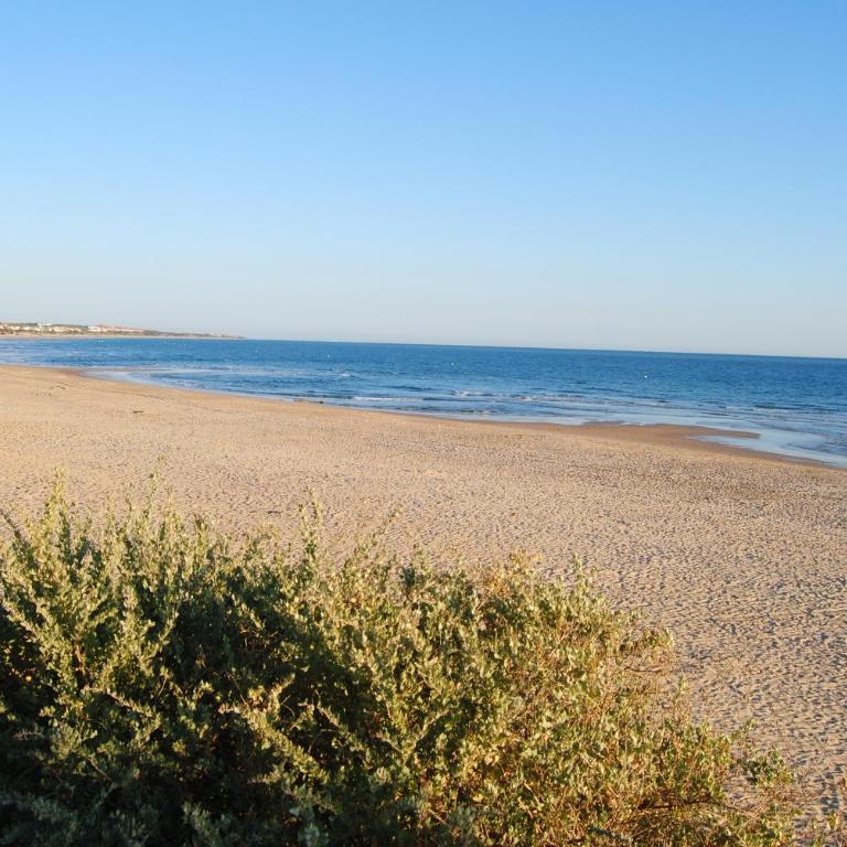 Taymar - Apartamento - Planta baja - 39