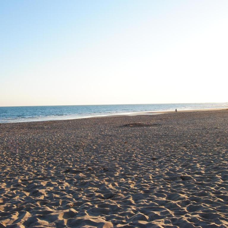 Taymar - Apartamento - Planta baja - 37