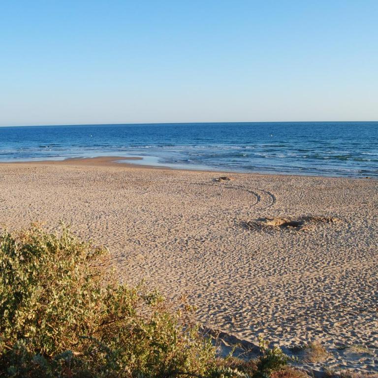 Coto de Sancti Petri - Apartamento de 2 dormitorios - 24