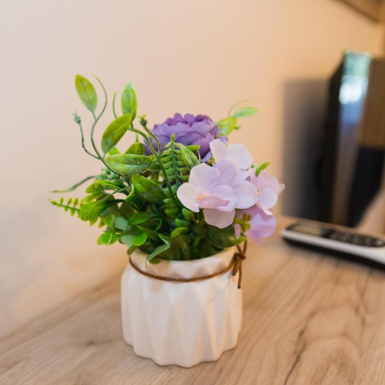 Apartman Studio Blue - Studio Apartment - 14