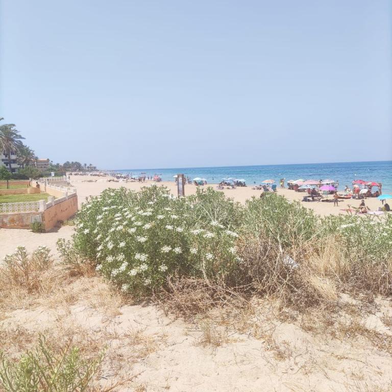 Ona apartament by costablancarent - Apartamento - 20