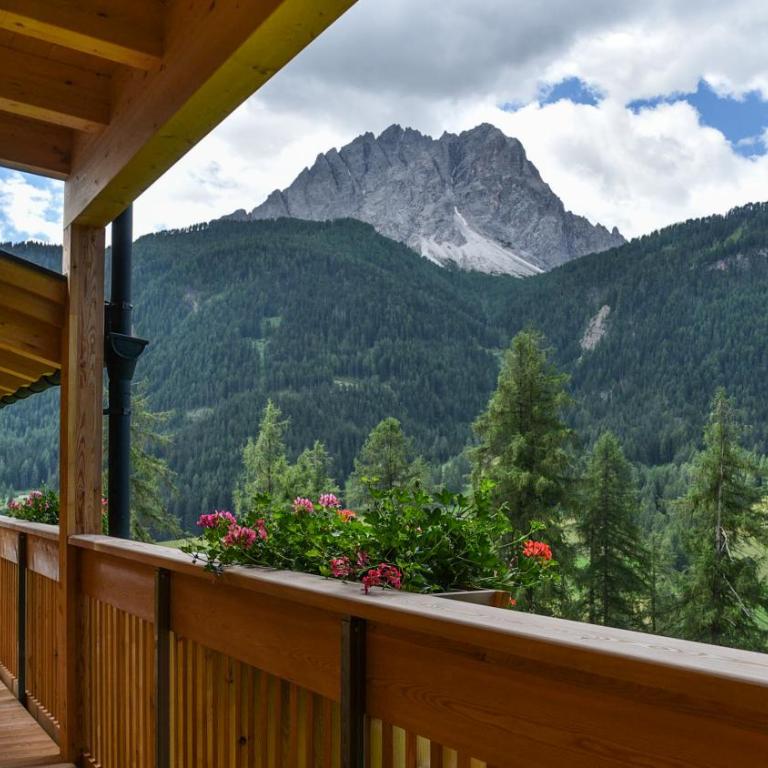 Im Wiesengrund Apartments - Apartment mit Blick auf die Berge - 16