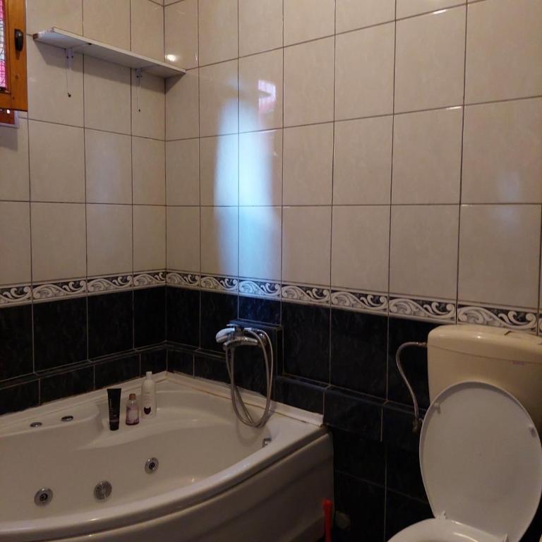 Apartments Igor - Apartman sa 2 Spavaće Sobe - 3