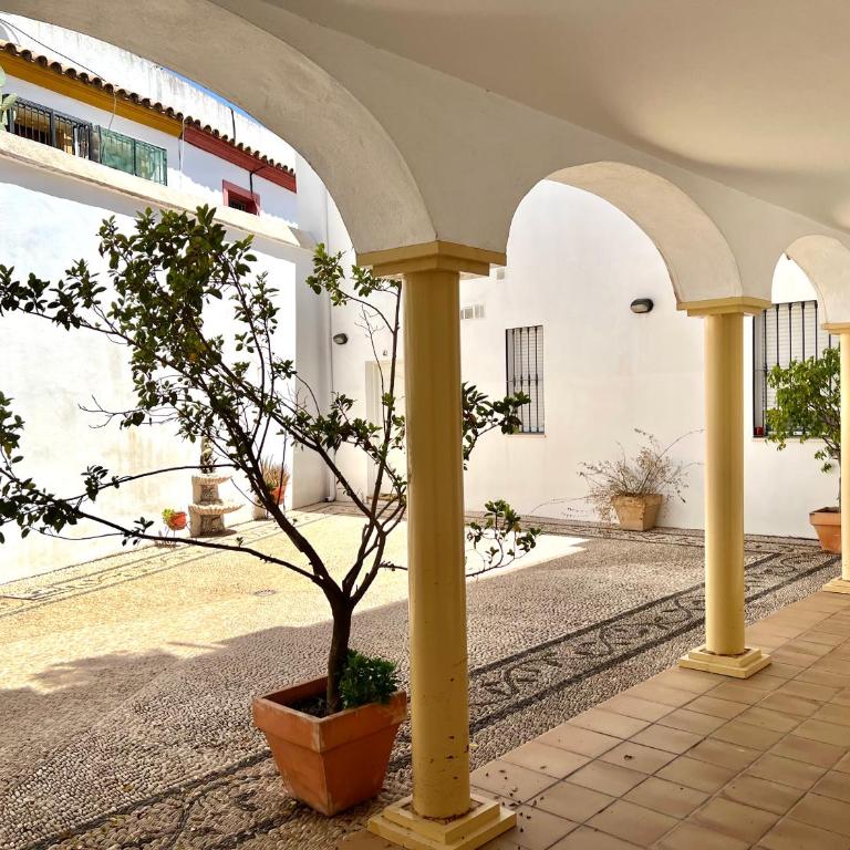 Corredera Cordoba - Apartamento de 1 dormitorio - 11