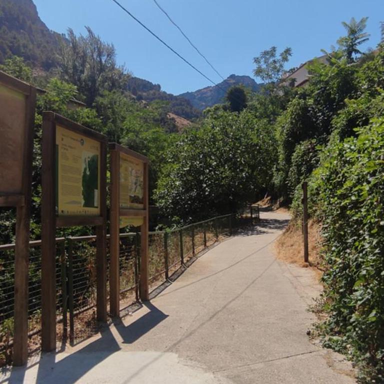 ALOJAMIENTO YOLANDA CAZORLA - Two-Bedroom House - 58