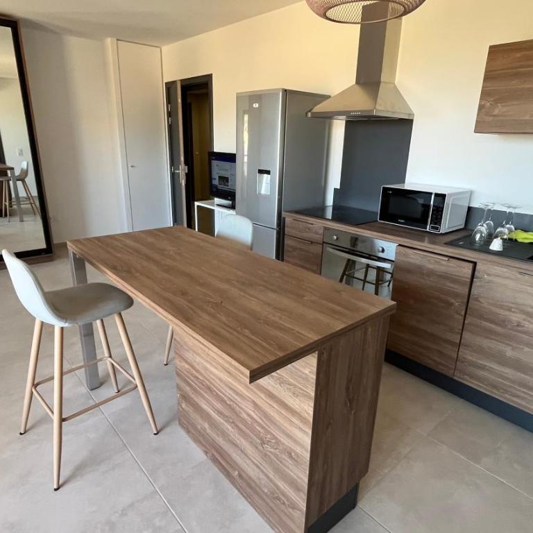 T1 proche aéroport et plage - Apartamento de 1 dormitorio - 2