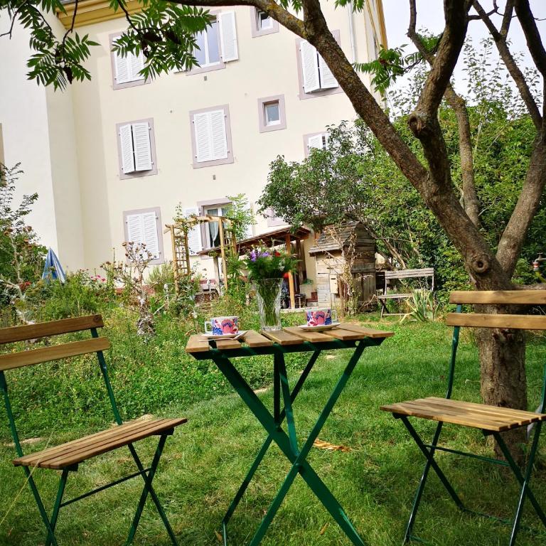 Colmar Friends and Familly guest home - COLMAR Gare - Jardin - Combles et Vous - Appartamento con Vista Giardino - 83