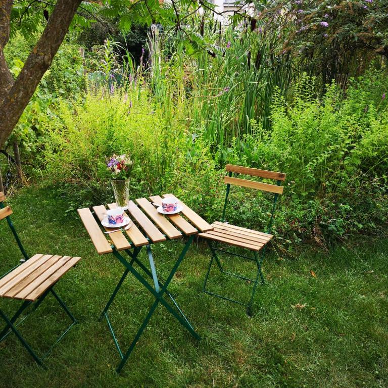 Colmar Friends and Familly guest home - COLMAR Gare - Jardin - Combles et Vous - Appartamento con Vista Giardino - 31