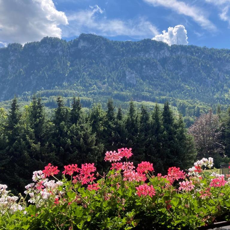 Ferienwohnung mit Seeblick, Unterach am Attersse - Apartment mit 2 Schlafzimmern - 8