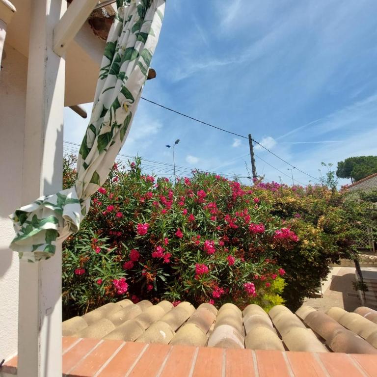 Sea view front beach apartment deluxe near Nice airport - Apartamento de 1 dormitorio - 4