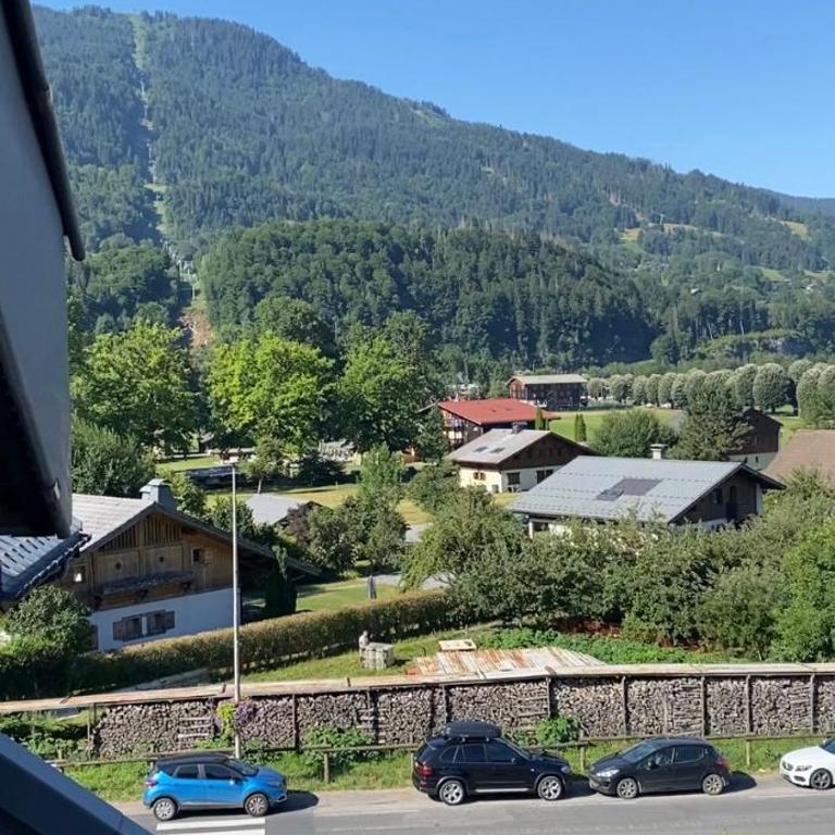 Duplex Samoëns 4/6 couchages - Appartamento con 1 Camera da Letto - 18