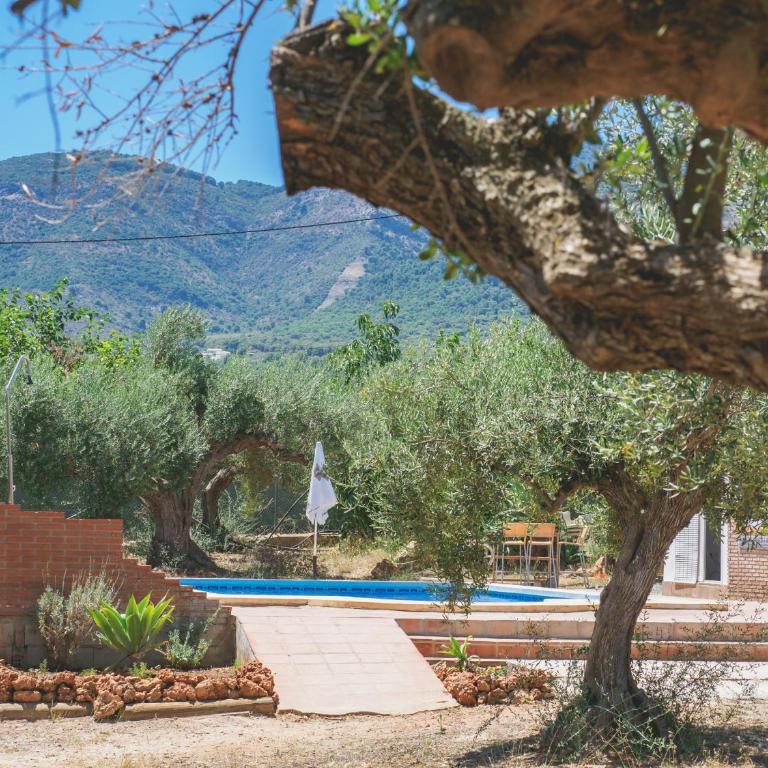 Cubo's Finca Sanchez Aranda - Vacation Home - 4