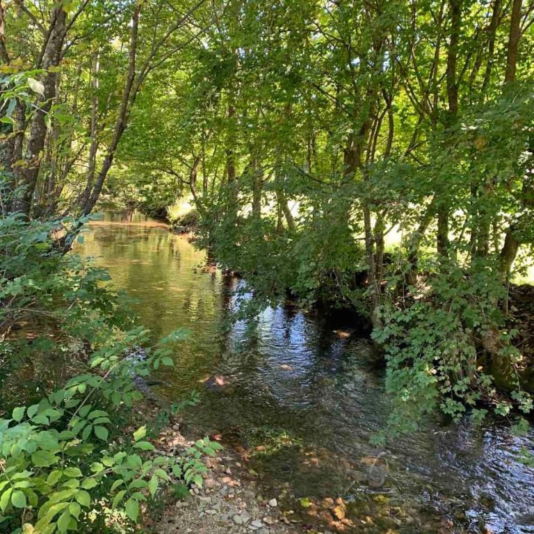 Soko holiday home Bihac - Villa - 45