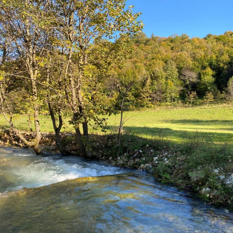 Soko holiday home Bihac - Villa - 46