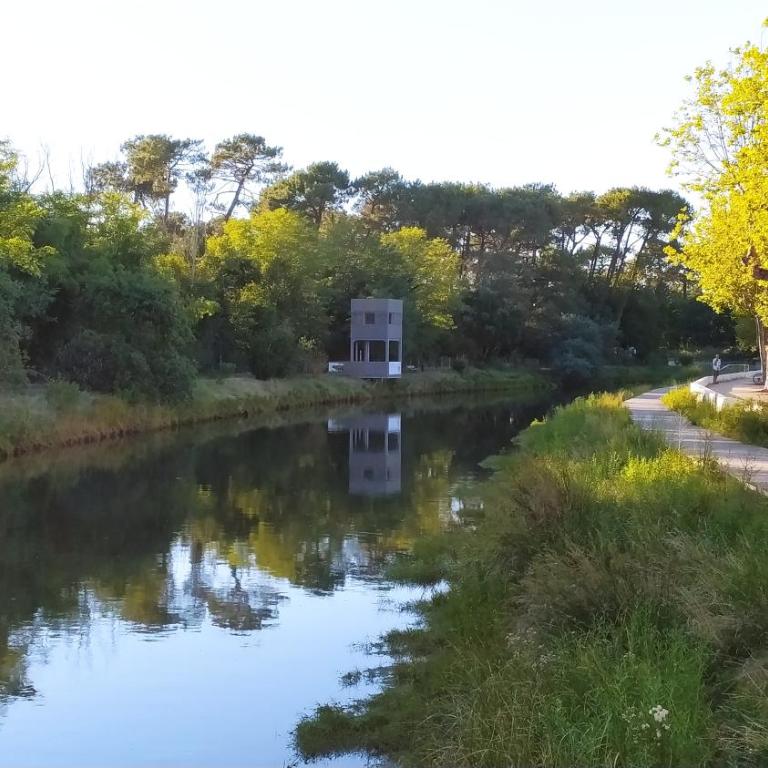 La Suite 57 - Appartement 1 Chambre - 39