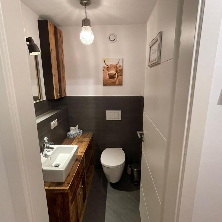 Zentral, ruhig & stilvoll mit Bergpanorama+ Garten - Apartment mit 1 Schlafzimmer - 35