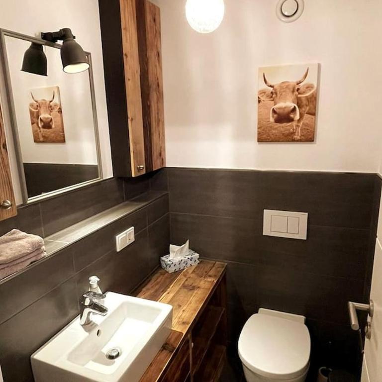 Zentral, ruhig & stilvoll mit Bergpanorama+ Garten - Apartment mit 1 Schlafzimmer - 20