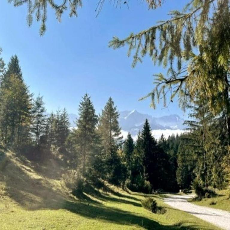 Zentral, ruhig & stilvoll mit Bergpanorama+ Garten - Apartment mit 1 Schlafzimmer - 8