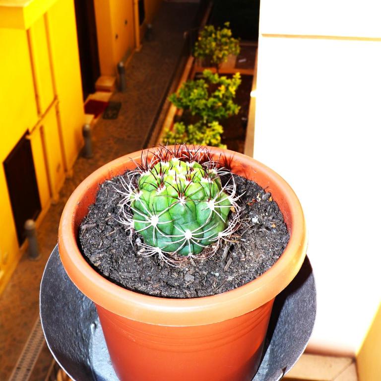 I Vicini del Re Holiday Home - One-Bedroom House - 23