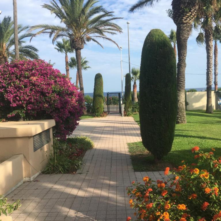 Cannes Terrace Beach Front & Sea view - Apartment mit Terrasse - 79