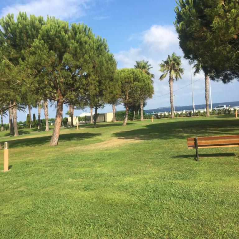 Cannes Terrace Beach Front & Sea view - Apartment mit Terrasse - 84