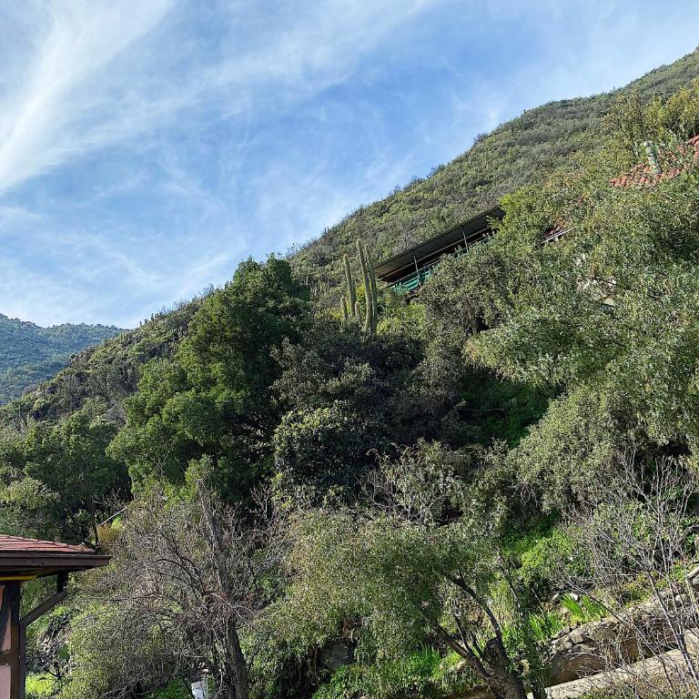 La Petite France - Suite con bañera de hidromasaje - 9