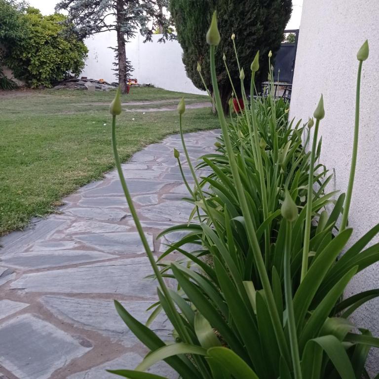 LA CALLEJA Apart ,Departamento Con vista al Jardin - Apartamento de 1 dormitorio - 19