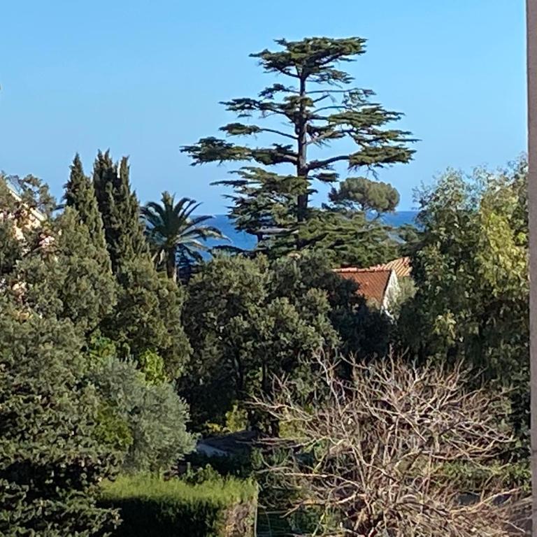 Saint Aygulf - a 250m de la mer- 3 pieces 45m2 - Apartment mit 2 Schlafzimmern - 6