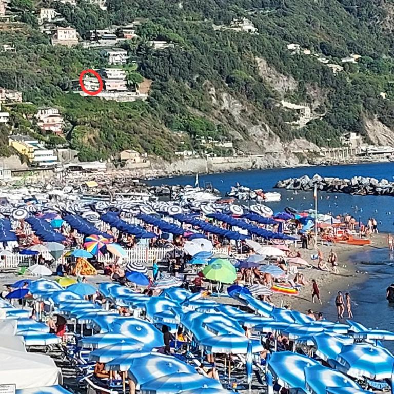 Appartamenti Enrica with amazing view - Appartamento con Vista Mare - 56