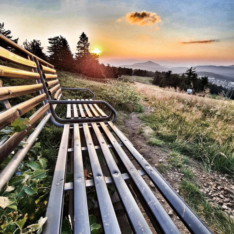 Milmari S70 Kopaonik - One-Bedroom Apartment - 51
