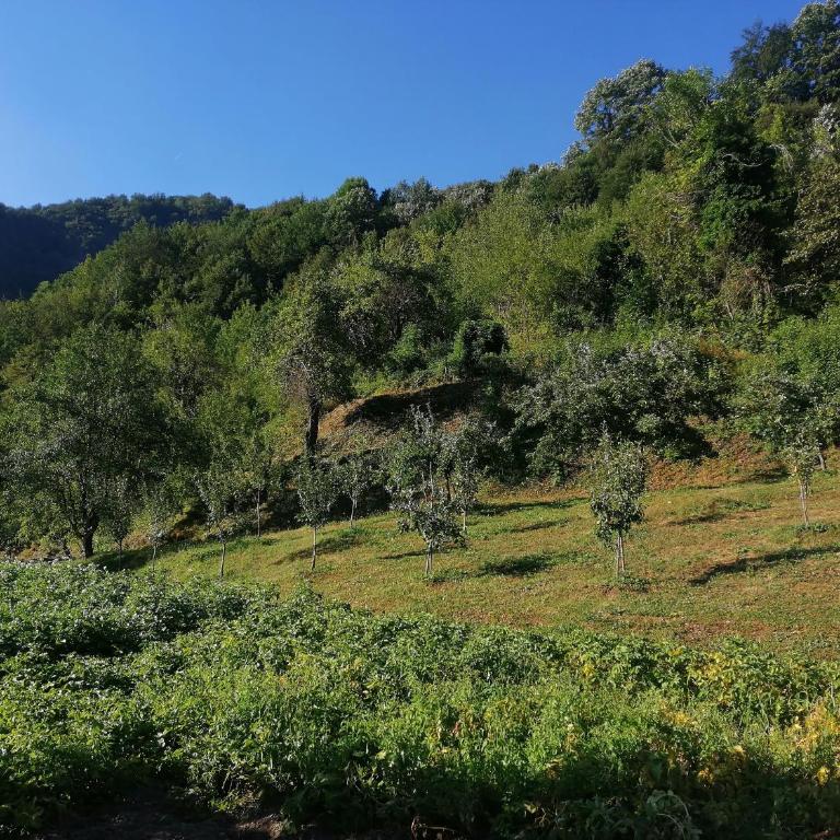 Ljuta Village - Kuća sa 2 Spavaće Sobe - 17