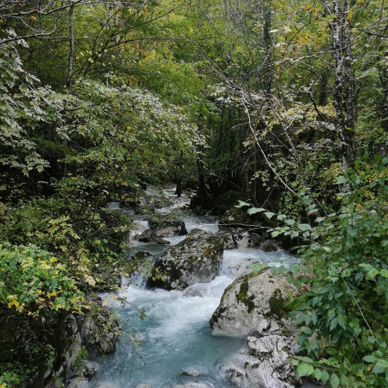 Ljuta Village - Kuća sa 2 Spavaće Sobe - 19