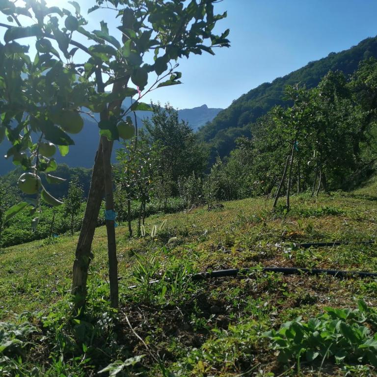 Ljuta Village - Kuća sa 2 Spavaće Sobe - 20