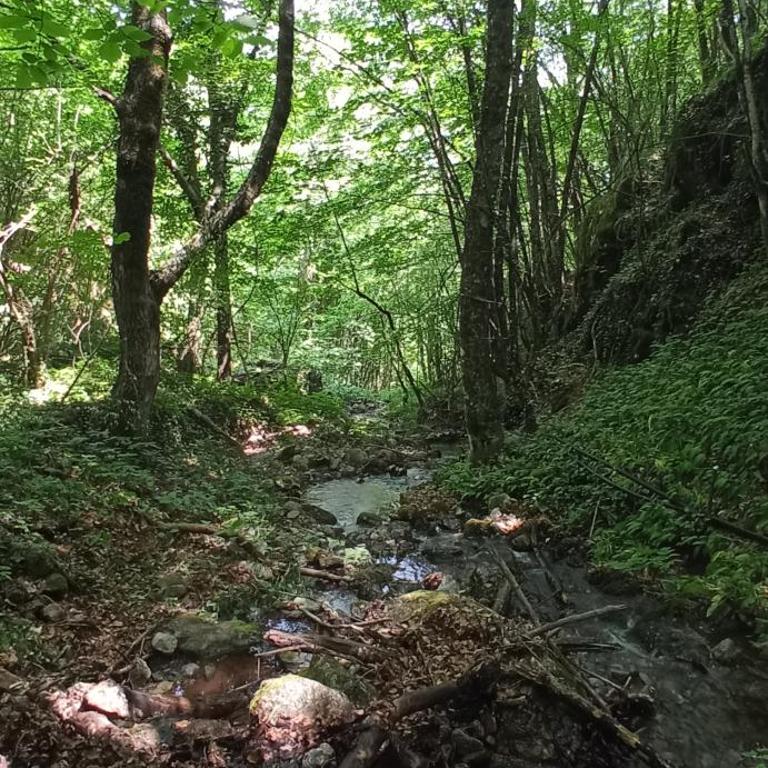 Ljuta Village - Kuća sa 2 Spavaće Sobe - 22