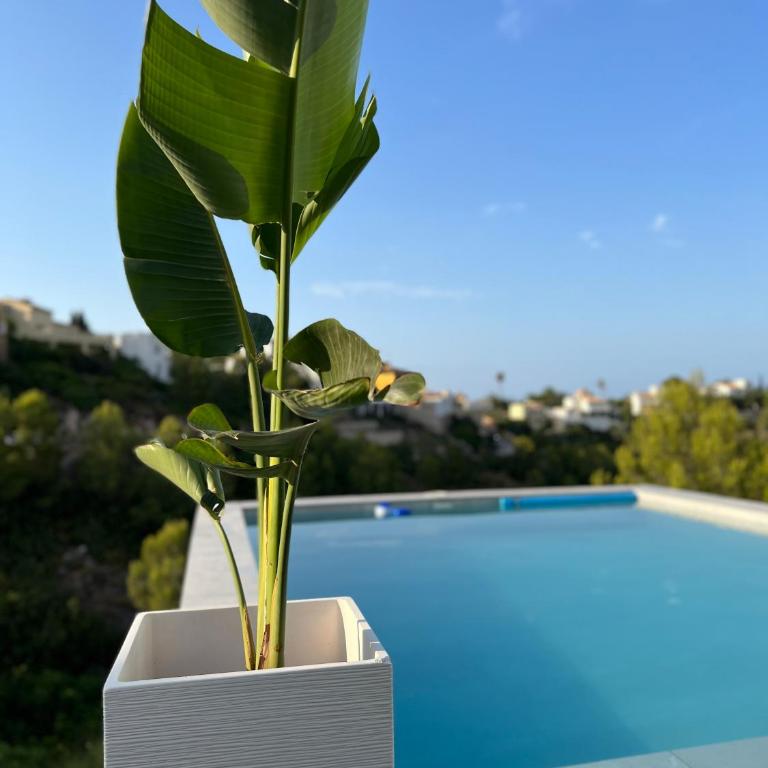 Dmg Villa - Casa - 2