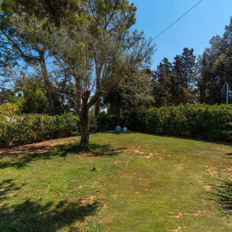 Villa Algi - Appartamento con 2 Camere da Letto - 6