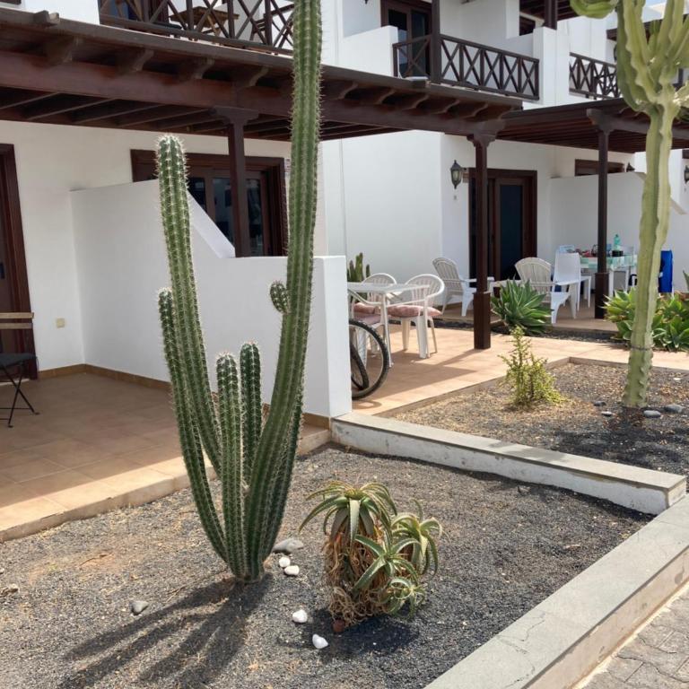 Casa Atlantico - Two-Bedroom Apartment - 32