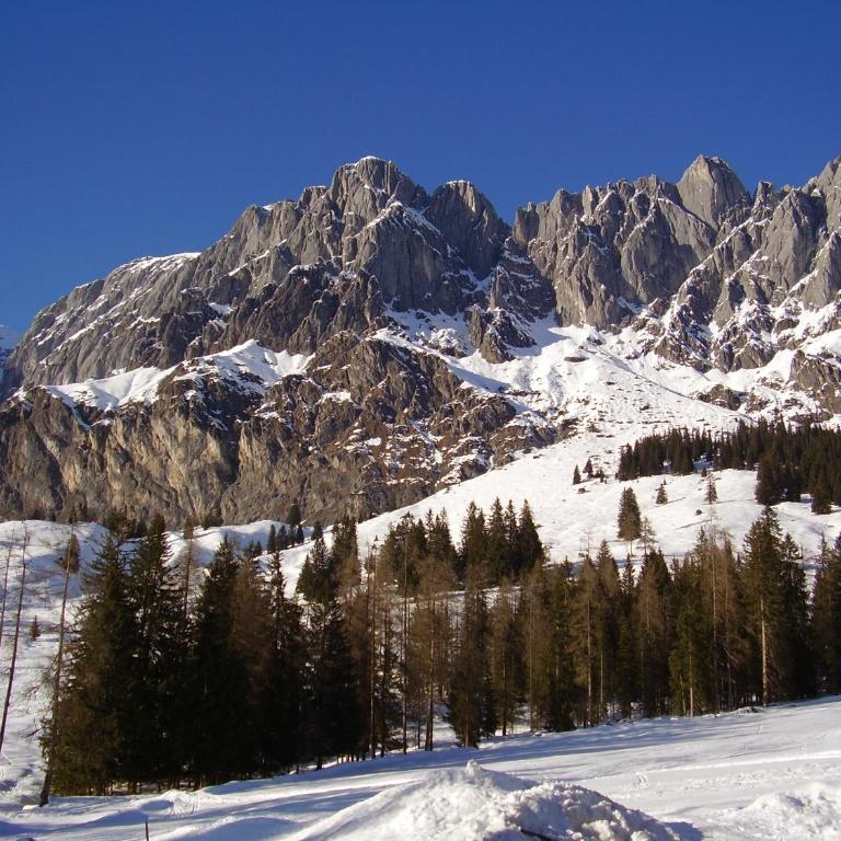 Appartementhaus Hochkönig 1 - Alpenrose - Apartment mit Balkon - 26