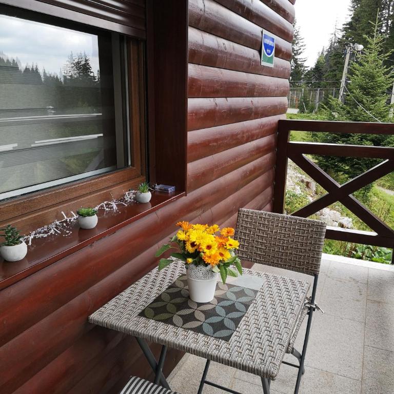 Apartment Gorski javor - Apartment with Balcony - 28