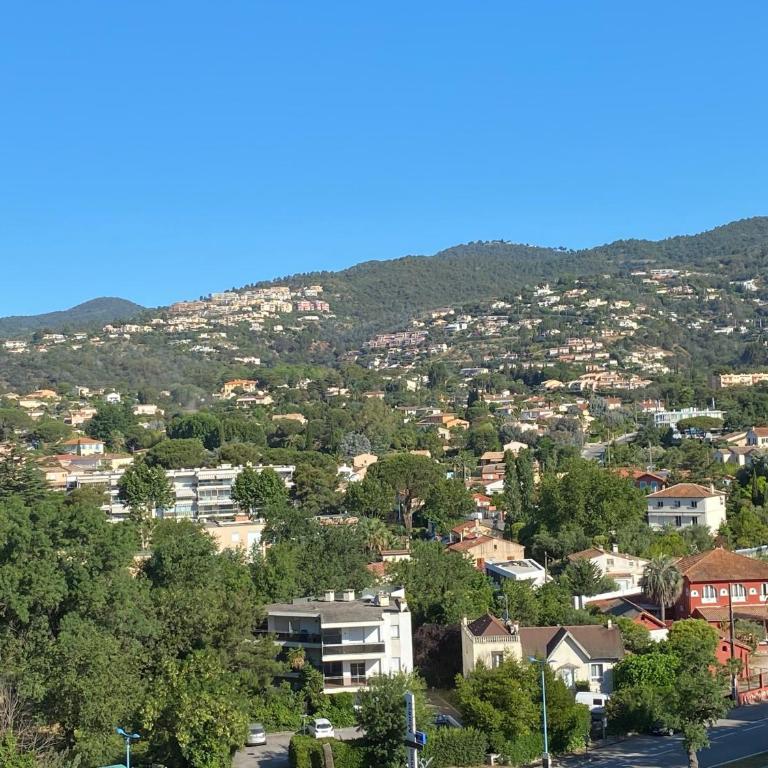 Studio Cannes Marina Mandelieu - Apartamento de 1 dormitorio - 7