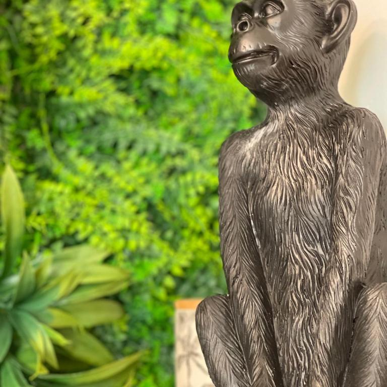 Tous'o'Zoo, au cœur du centre-ville - Haus mit 2 Schlafzimmern - 11