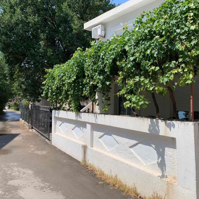 Apartment Danijela - Apartman - Prizemlje - 3