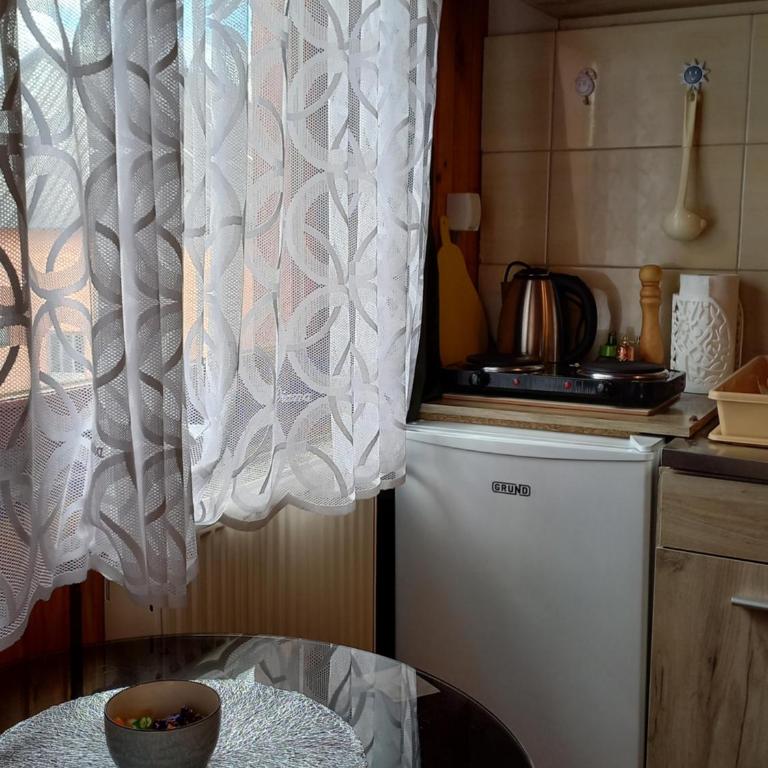 Studio apartman Dragana - One-Bedroom Apartment - 12