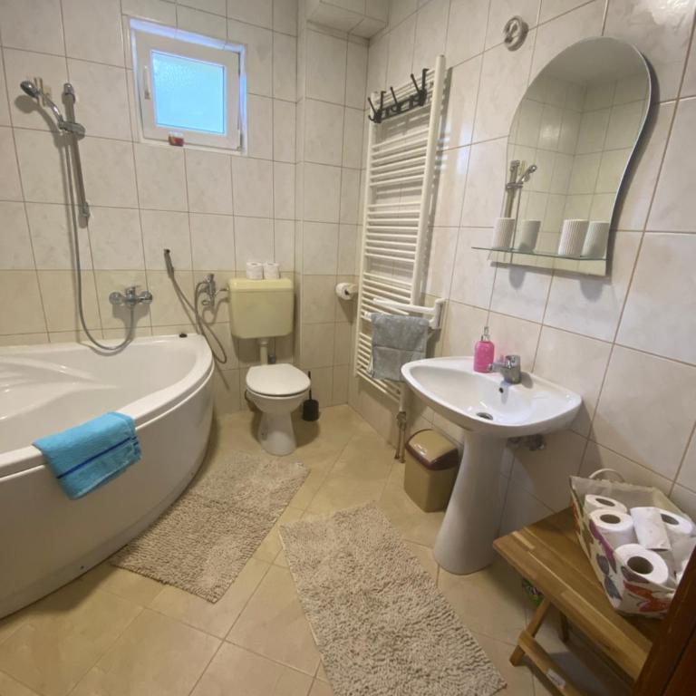 Sarajevo City View Apartment - Apartman sa 3 Spavaće Sobe - 10