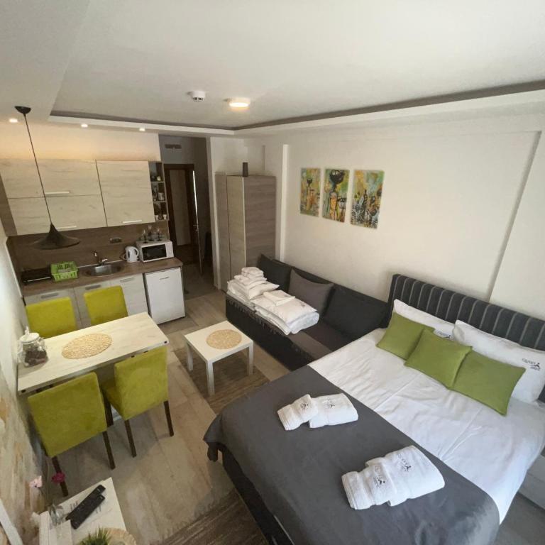 Milmari P74, Quest apartmani, Kopaonik - Studio - 14