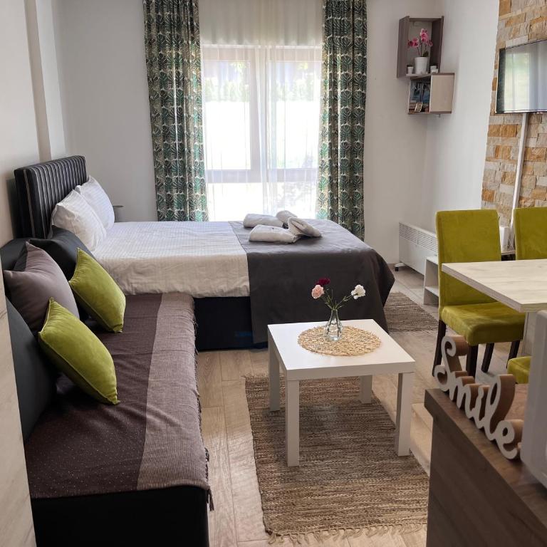 Milmari P74, Quest apartmani, Kopaonik - Studio - 11