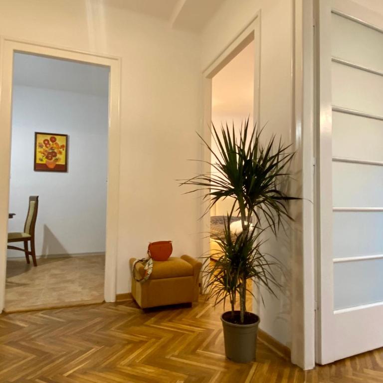 Local nest by Mili - Apartman sa 1 Spavaćom Sobom - 5