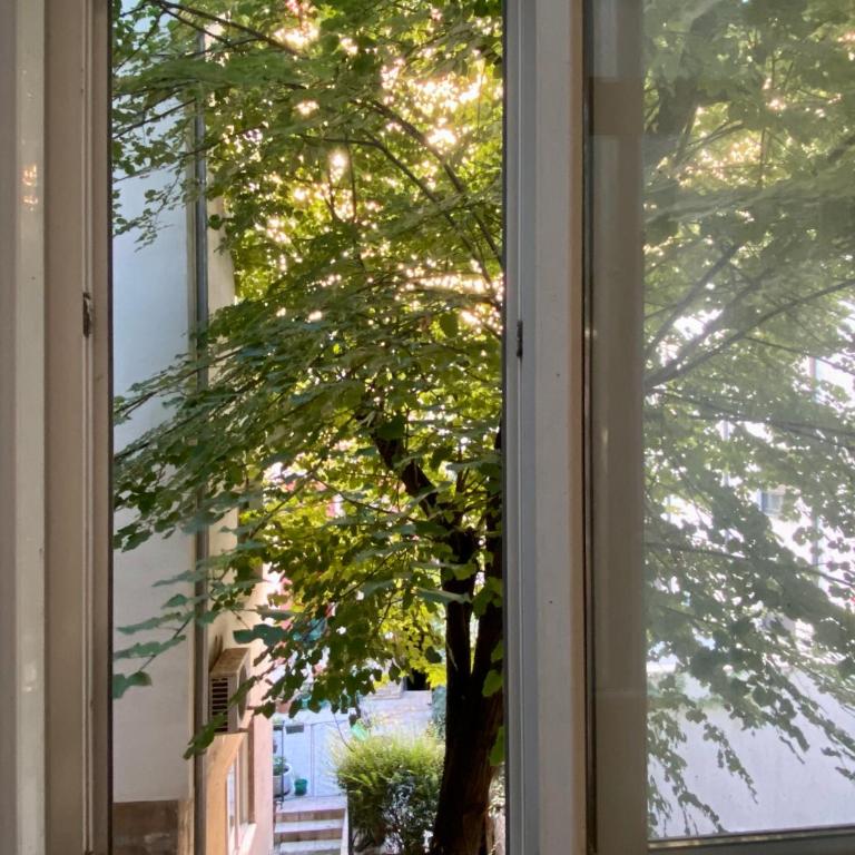 Local nest by Mili - Apartman sa 1 Spavaćom Sobom - 18