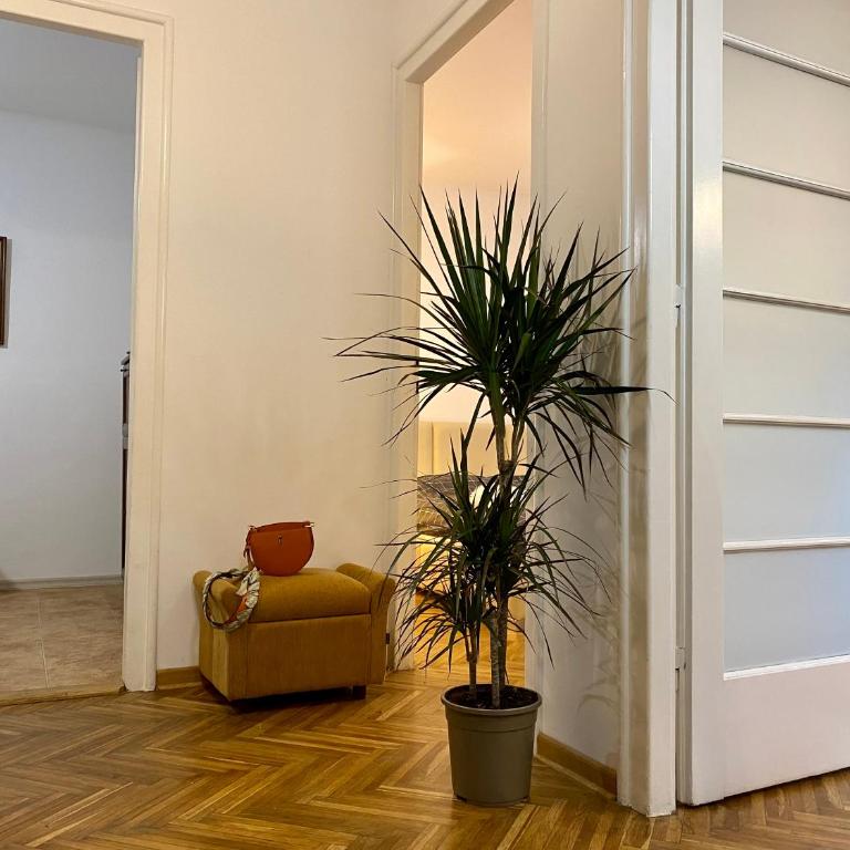 Local nest by Mili - Apartman sa 1 Spavaćom Sobom - 6