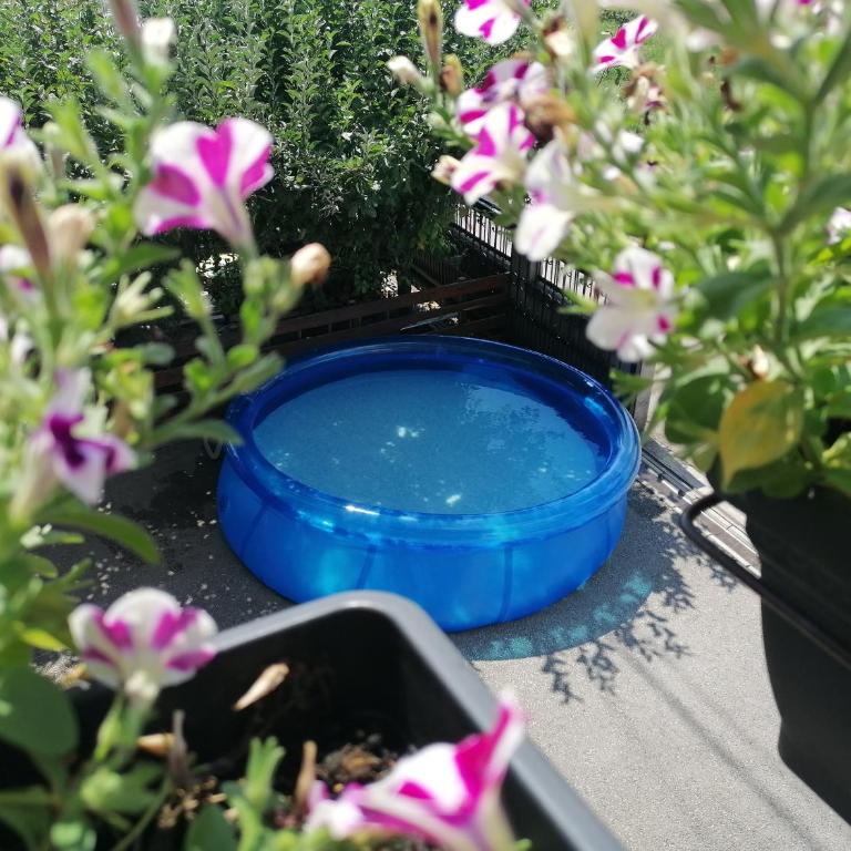 Garden Blue Sarajevo - free Parking - Deluks Apartman - 57